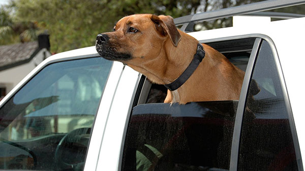 汽車搖窗電機工作原理—AIP艾普.jpg 汽車搖窗電機工作原理—AIP艾普.jpg